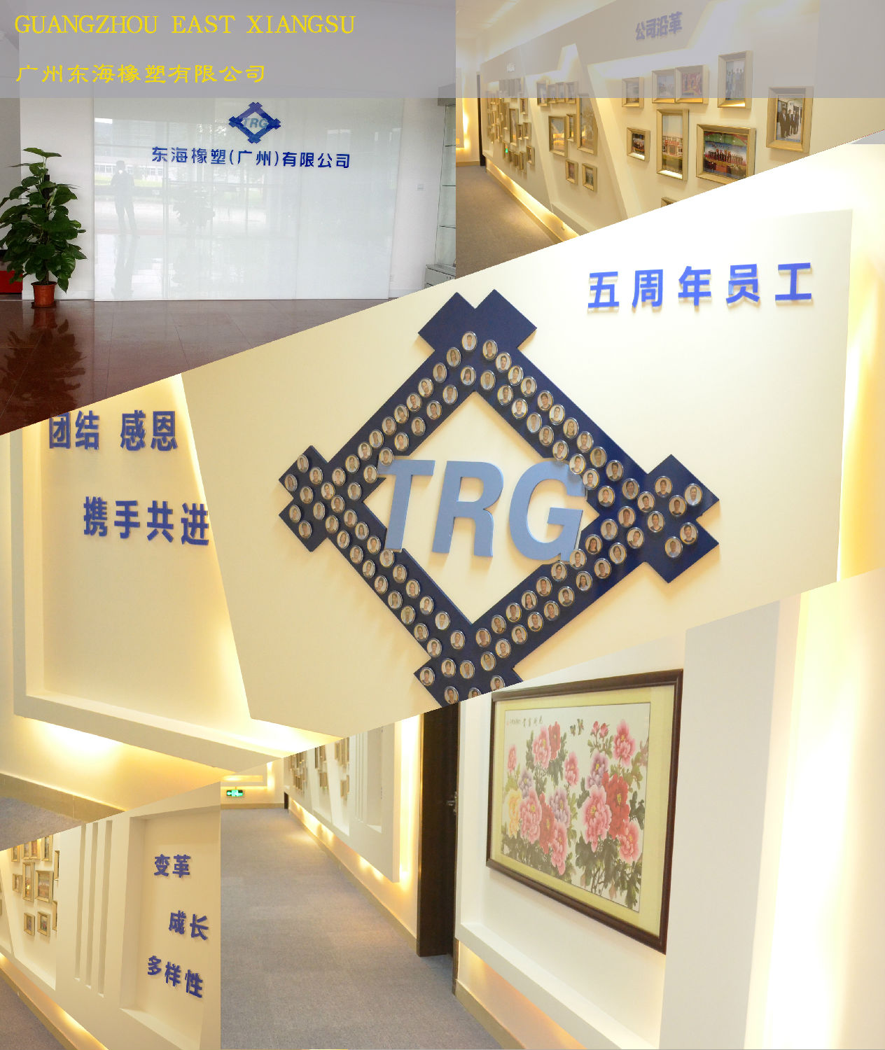 东海办公室叼嘿网站视频.jpg
