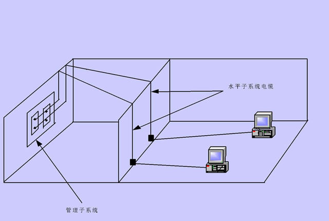 办公室叼嘿网站视频网络布线.jpg
