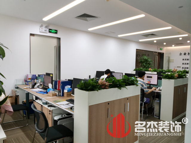 办公室叼嘿网站视频
