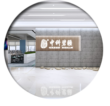 办公室叼嘿网站视频设计